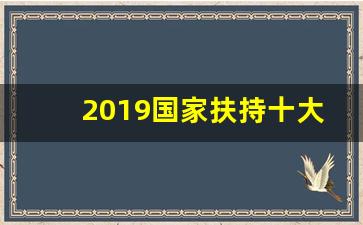 2019国家扶持十大项目