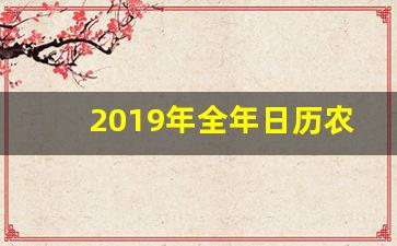 2019年全年日历农历表_农历2019年