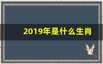 2019年是什么生肖_19岁属什么生肖属相