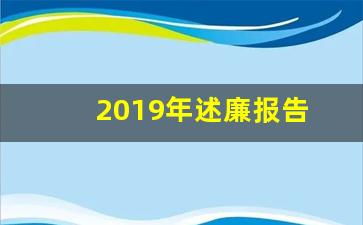 2019年述廉报告