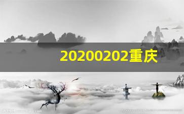 20200202重庆民政局