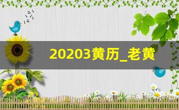 20203黄历_老黄历怎么看