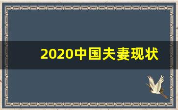 2020中国夫妻现状报告