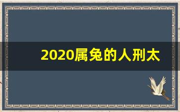 2020属兔的人刑太岁该怎么破解_刑太岁能相信吗