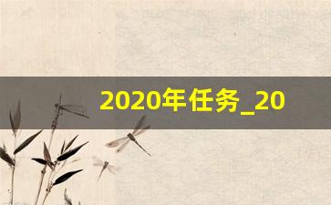 2020年任务_2020年度指的具体是