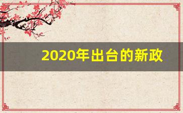 2020年出台的新政策_2019年政策新规