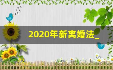 2020年新离婚法_2020年新的婚姻法颁布