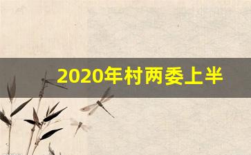 2020年村两委上半年工作总结_村两委指什么