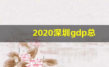 2020深圳gdp总产值_gdp是什么意思