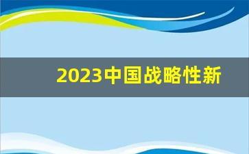 2023中国战略性新兴产业发展报告_战略新兴产业分类目录2023