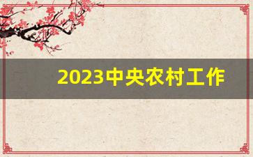 2023中央农村工作会议讲话稿_驻村感言简短100字