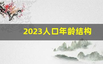 2023人口年龄结构图_2023年18岁以下人口有多少