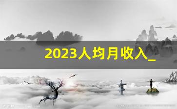 2023人均月收入_中国薪酬调查网