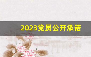 2023党员公开承诺书模板