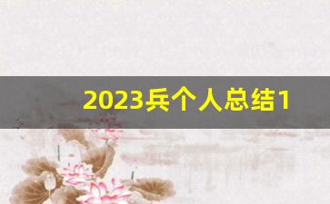 2023兵个人总结1500字