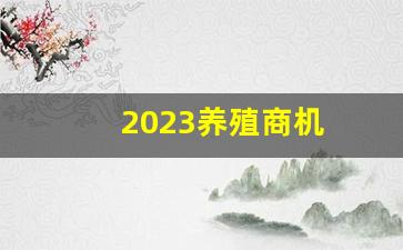 2023养殖商机