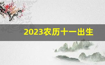 2023农历十一出生兔子_属兔命最好的三个时辰