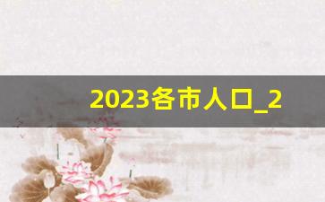 2023各市人口_2023超大城市人口变化