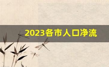 2023各市人口净流入_2023流动人口数据