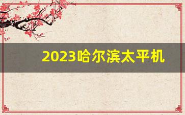 2023哈尔滨太平机场征地公告_太平机场四期要拆的村