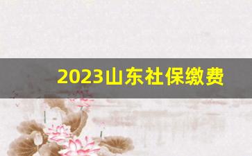 2023山东社保缴费基数一览表_2024灵活就业社保缴费时间