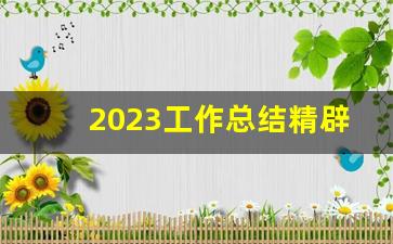 2023工作总结精辟简短_年度工作总结简短