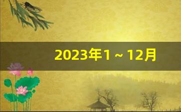 2023年1～12月主题党日活动主题