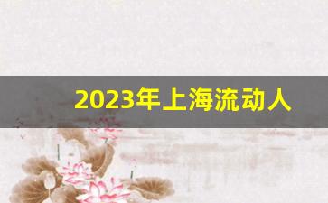 2023年上海流动人口减少了吗_上海外来人口急剧减少