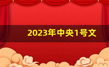 2023年中央1号文件农村拆迁_2023年国家要大拆迁吗