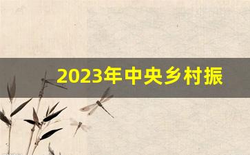 2023年中央乡村振兴工作计划表_乡村振兴什么时候提出的