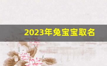 2023年兔宝宝取名