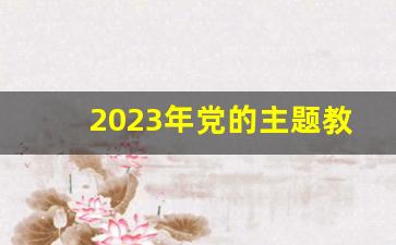 2023年党的主题教育活动工作总结_关于第二批主题教育的心得