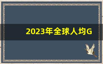 2023年全球人均GDP排行