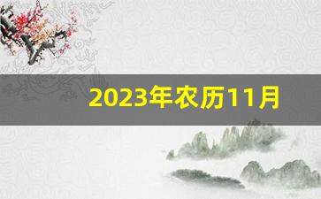 2023年农历11月