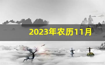 2023年农历11月最吉利的日子_农历2023年十一月初六黄历