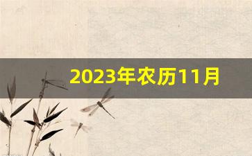 2023年农历11月有那些日子好_2019农历腊月二十九日子好吗