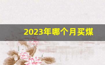 2023年哪个月买煤最便宜呢_民用煤怎么看煤好坏