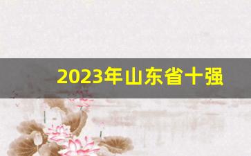 2023年山东省十强县