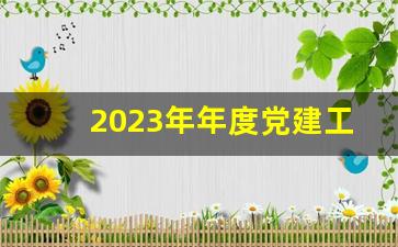 2023年年度党建工作总结