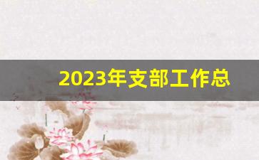 2023年支部工作总结范文