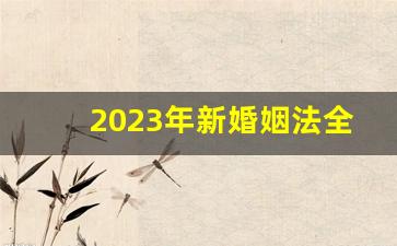 2023年新婚姻法全文解读_现在新婚姻法怎么规定的