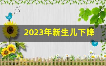 2023年新生儿下降情况_2010-2023出生人口