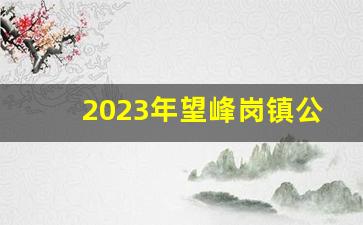 2023年望峰岗镇公开招募志愿者公告