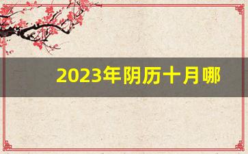 2023年阴历十月哪天套婚被好