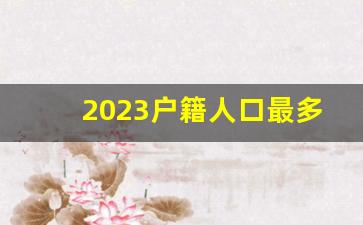 2023户籍人口最多的省份_2023中国人口实时数据查询