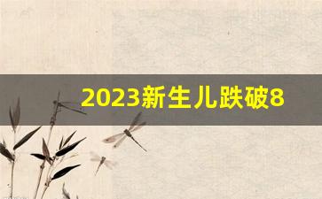 2023新生儿跌破800万_低生育率谁慌了