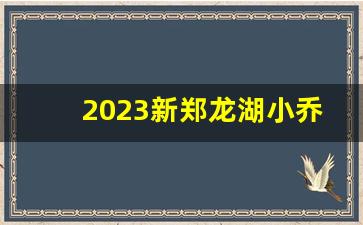 2023新郑龙湖小乔地铁站最新消息_新郑龙湖小乔新商业街东二街