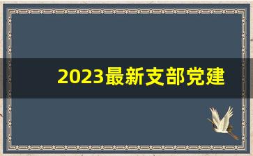 2023最新支部党建工作计划_2023年党建工作述职报告