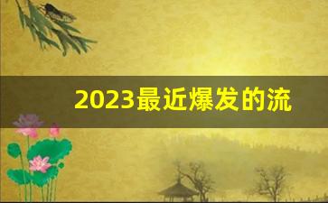 2023最近爆发的流感叫什么