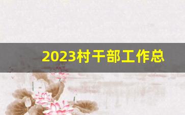 2023村干部工作总结